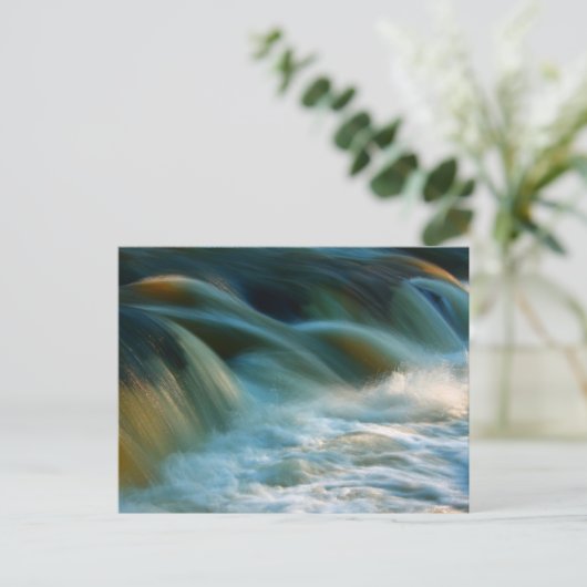 Cenarth Falls Postkarte (Stehend Vorderseite)