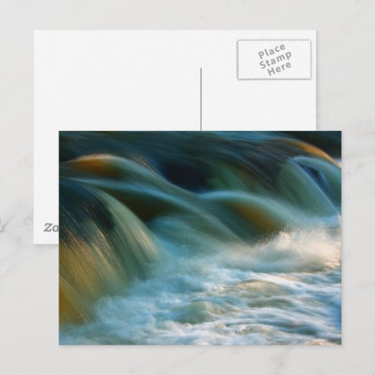 Cenarth Falls Postkarte (Vorne/Hinten)