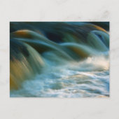 Cenarth Falls Postkarte (Vorderseite)