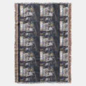 Cenosillicaphia, Singapur Decke (Vorderseite Vertikal)