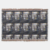 Cenosillicaphia, Singapur Decke (Vorderseite)