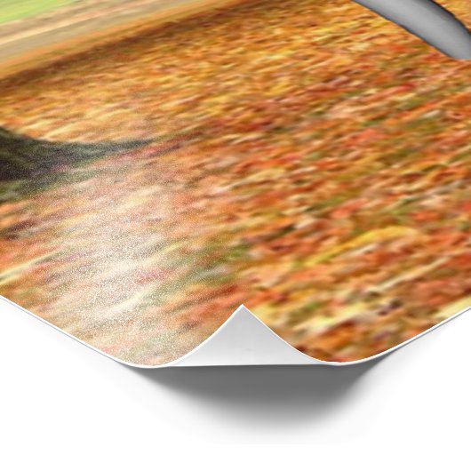 Centaur Fotodruck (Ecke)