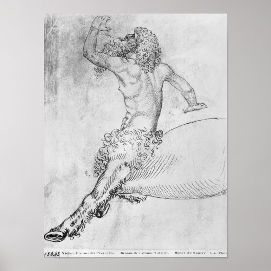Centaur, vom Vallardi-Album Poster (Vorne)