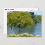 Centennial Lake in Ellicott City Maryland Postkarte (Vorne/Hinten)