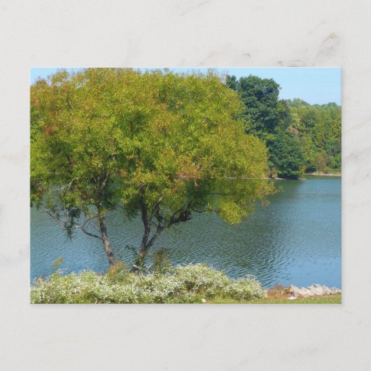 Centennial Lake in Ellicott City Maryland Postkarte (Vorderseite)