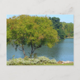 Centennial Lake in Ellicott City Maryland Postkarte