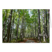 Centennial Wald Path II Ellicott City Maryland (Vorderseite (Horizontal))