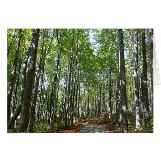 Centennial Wald Path II Ellicott City Maryland (Vorderseite (Horizontal))