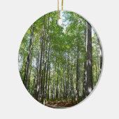 Centennial Wald Path II Ellicott City Maryland Keramik Ornament (Links)