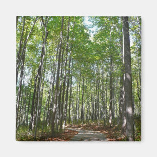 Centennial Wald Path II Ellicott City Maryland Magnet