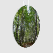 Centennial Wald Path II Ellicott City Maryland Ornament (Vorderseite)