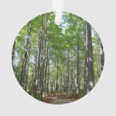 Centennial Wald Path II Ellicott City Maryland Ornament (Rückseite)