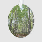 Centennial Wald Path II Ellicott City Maryland Ornament (Vorderseite)