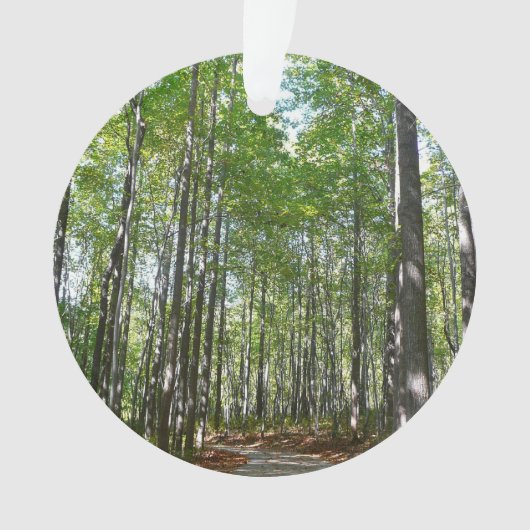 Centennial Wald Path II Ellicott City Maryland Ornament (Vorderseite)