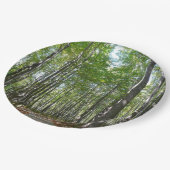 Centennial Wald Path II Ellicott City Maryland Pappteller (Schrägansicht)