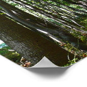 Centennial Wald Path II Ellicott City Maryland Poster (Ecke)