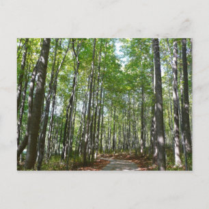 Centennial Wald Path II Ellicott City Maryland Postkarte