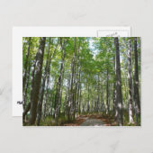 Centennial Wald Path II Ellicott City Maryland Postkarte (Vorne/Hinten)