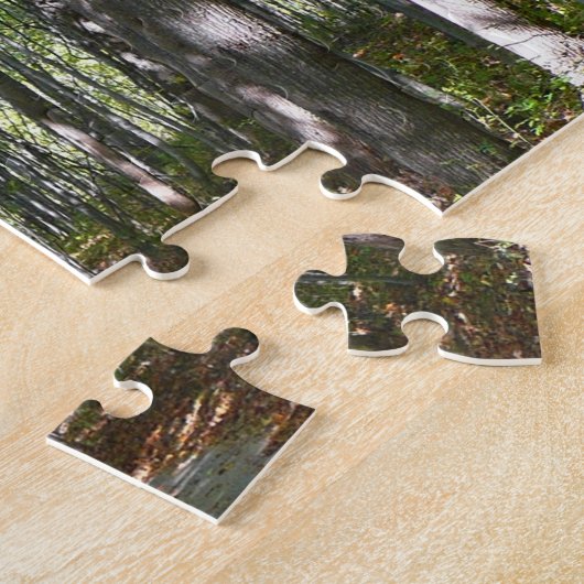Centennial Wald Path II Ellicott City Maryland Puzzle (Seite)