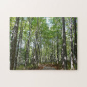 Centennial Wald Path II Ellicott City Maryland Puzzle (Horizontal)