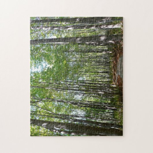 Centennial Wald Path II Ellicott City Maryland Puzzle (Vertikal)