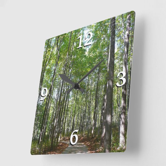 Centennial Wald Path II Ellicott City Maryland Quadratische Wanduhr (Winkel)