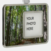 Centennial Wald Path II Ellicott City Maryland Rahmen-Ornament Silber (Rechts)