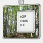 Centennial Wald Path II Ellicott City Maryland Rahmen-Ornament Silber (Links)