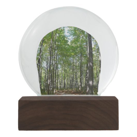 Centennial Wald Path II Ellicott City Maryland Schneekugel (Vorderseite)