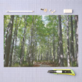 Centennial Wald Path II Ellicott City Maryland Seidenpapier (Handwerk)