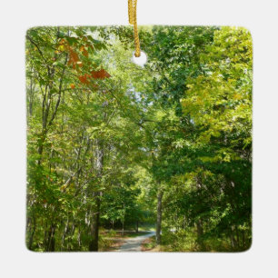 Centennial Wooded Path I Ellicott City Natur Keramikornament