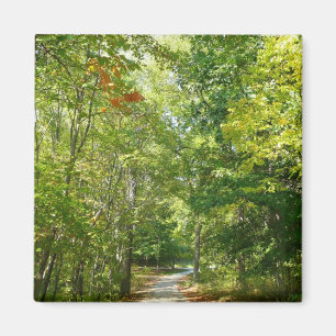Centennial Wooded Path I Ellicott City Natur Magnet