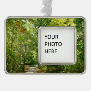 Centennial Wooded Path I Ellicott City Natur Rahmen-Ornament Silber