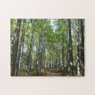 Centennial Wooded Path II Ellicott City Maryland Puzzle