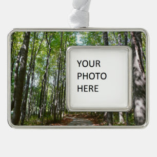 Centennial Wooded Path II Ellicott City Maryland Rahmen-Ornament Silber