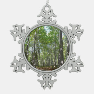 Centennial Wooded Path II Ellicott City Maryland Schneeflocken Zinn-Ornament