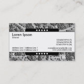 Center Band 5 Spots - Circleville Imaginary Landsc Visitenkarte (Rückseite)