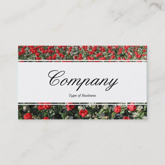 Center Band (eingekeilt) - Script - Red Tulips and Visitenkarte (Vorderseite)