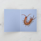 Centipede  karte (Innenseite)