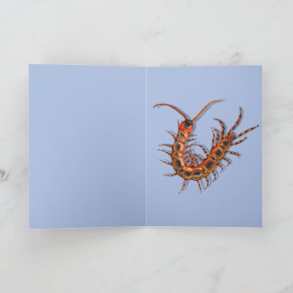 Centipede karte