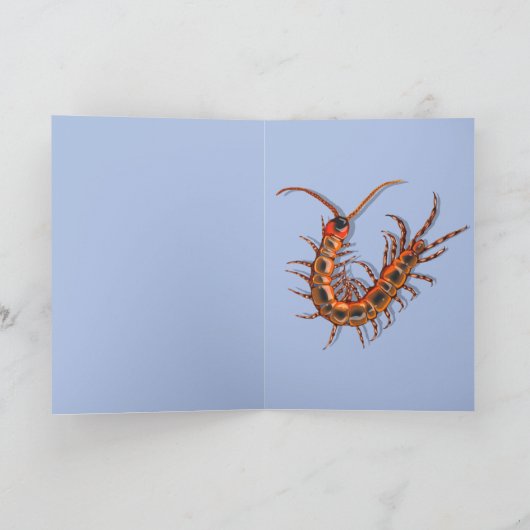 Centipede karte (Innenseite)