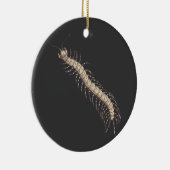 Centipede Ornament (Rechts)