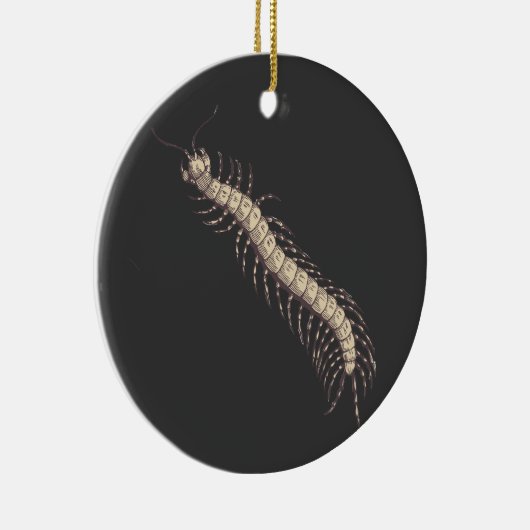 Centipede Ornament (Rechts)