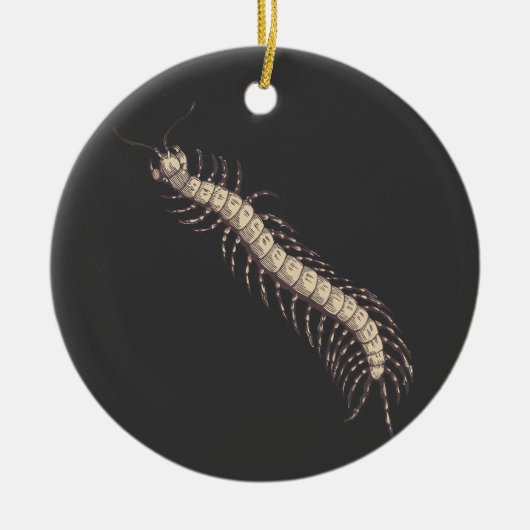 Centipede Ornament (Vorne)