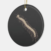 Centipede Ornament (Links)