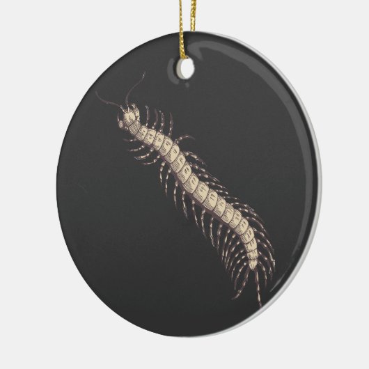Centipede Ornament (Links)