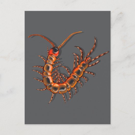 Centipede  postkarte (Vorderseite)