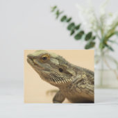 Central Bartard Lizard Nah-up Postkarte (Stehend Vorderseite)