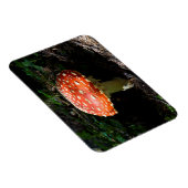 Central Cascades, Staat Washington Magnet (Rechte Seite)