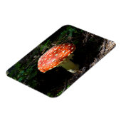 Central Cascades, Staat Washington Magnet (Linke Seite)